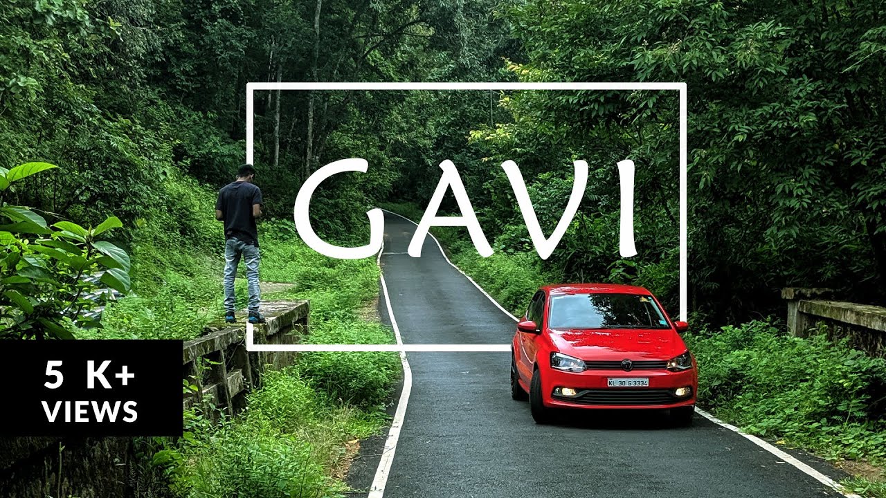 gavi road trip