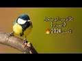 صوت طائر سن ابو منجل الحداد للصيد نااار صوت طائر سن ابو منجل الحداد للصيد نااار