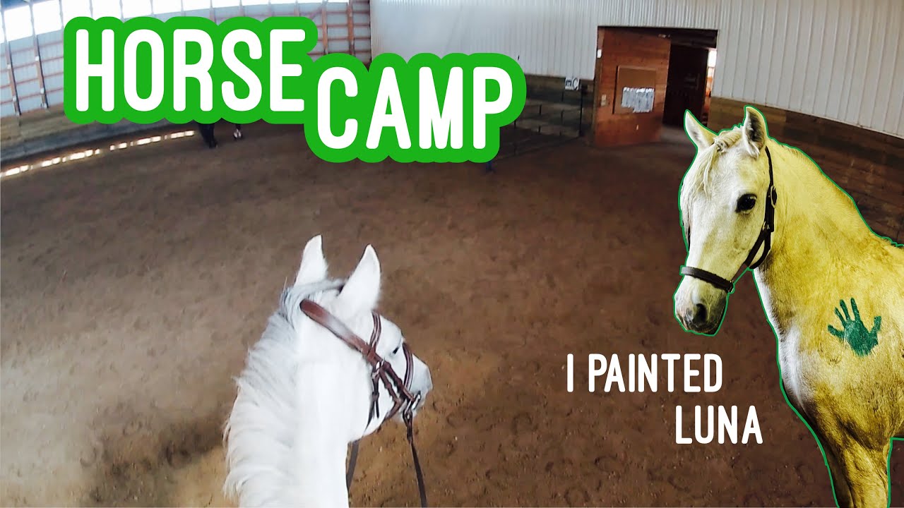 Three day horse camp!! YouTube