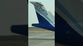 Flights With Indigo  Indigo 6e