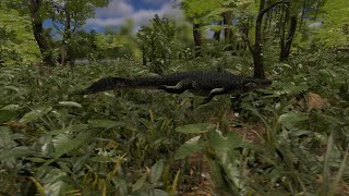 If Crocodiles could fly ...