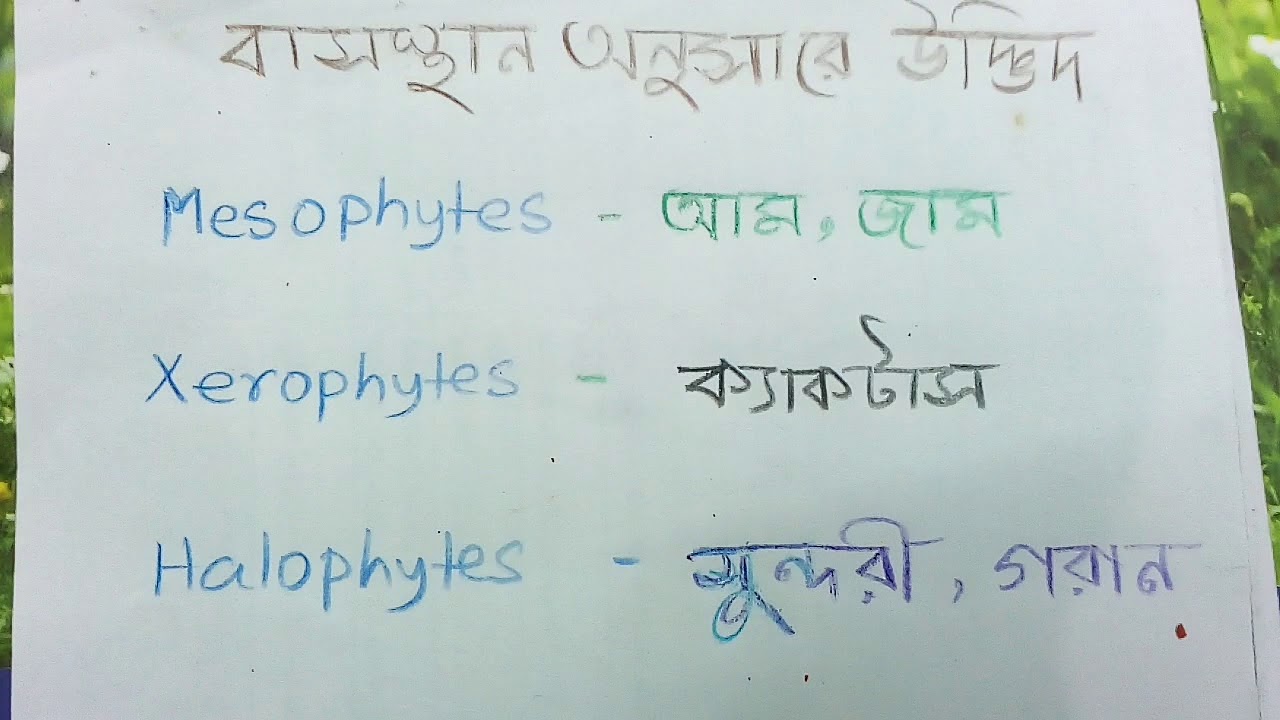 Types of plants(Bengali medium) YouTube