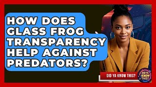 How Does Glass Frog Transparency Help Against Predators? - Did Ya Know This