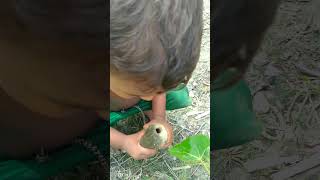 Fishing video #amazingj #fishing #fish