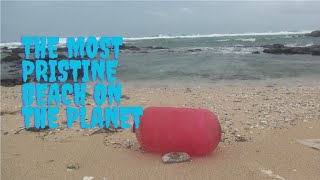 Pick up shells on the most pristine beach on the planet