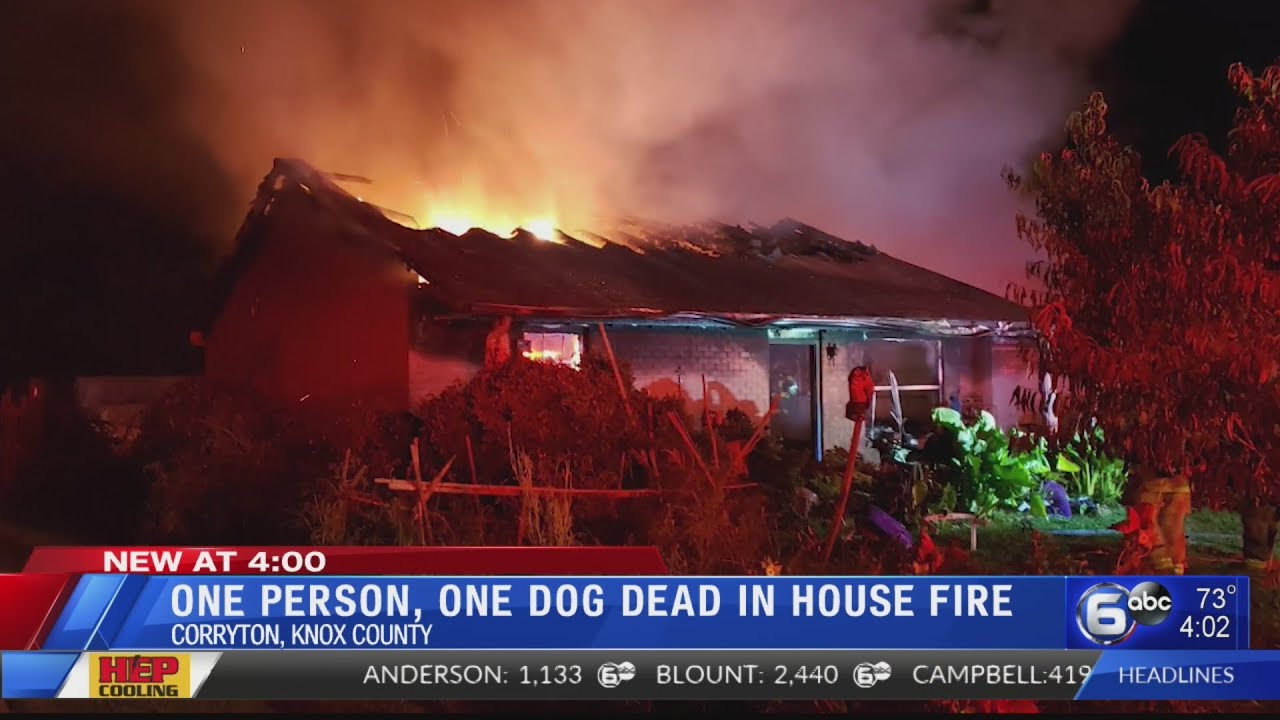 One person, one dog dead in house fire - YouTube