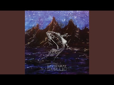 Skellig - David Gray
