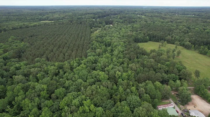 AMAZING 5-ACRE LAND DEAL! Owner Financing Available! Jefferson County, Arkansas