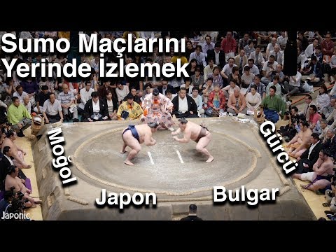 SUMO Maçlarına GİTTİM! Moğol, Bulgar, Gürcü, Japon Sumocular ve Maaşları | Japonic