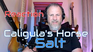 Caligula&#39;s Horse - Salt - First Listen/Reaction