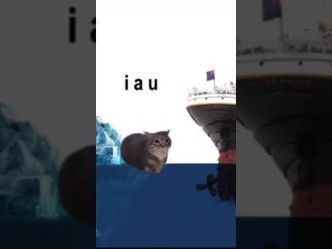 #oiacat
