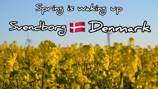 Spring Is Waking Up In Svendborg Denmark - Epic Cinematic B Roll April 2020