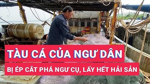 Tàu cá của ngư dân Quảng Nam bị nhóm người Trung Quốc ép cắt phá ngư cụ, lấy hết hải sản