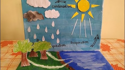 Water Cycle School Project Model | Simple Project | Water Cycle Model using  CardBoard  and paper