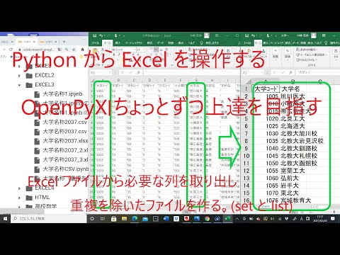 Python入門5-11 Python からExcelを操作する。データを取り出し、重複を除く OpenPyXl ちょっとずつ上達を目指す。
