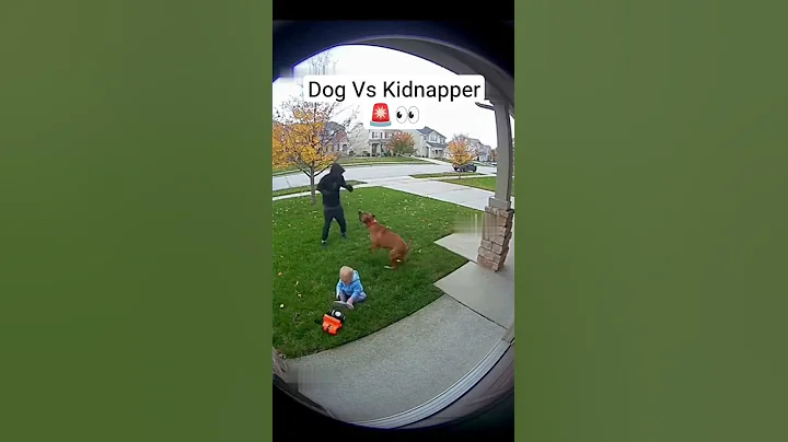 Dog Saves baby from Kidnappers #shorts #dog #baby