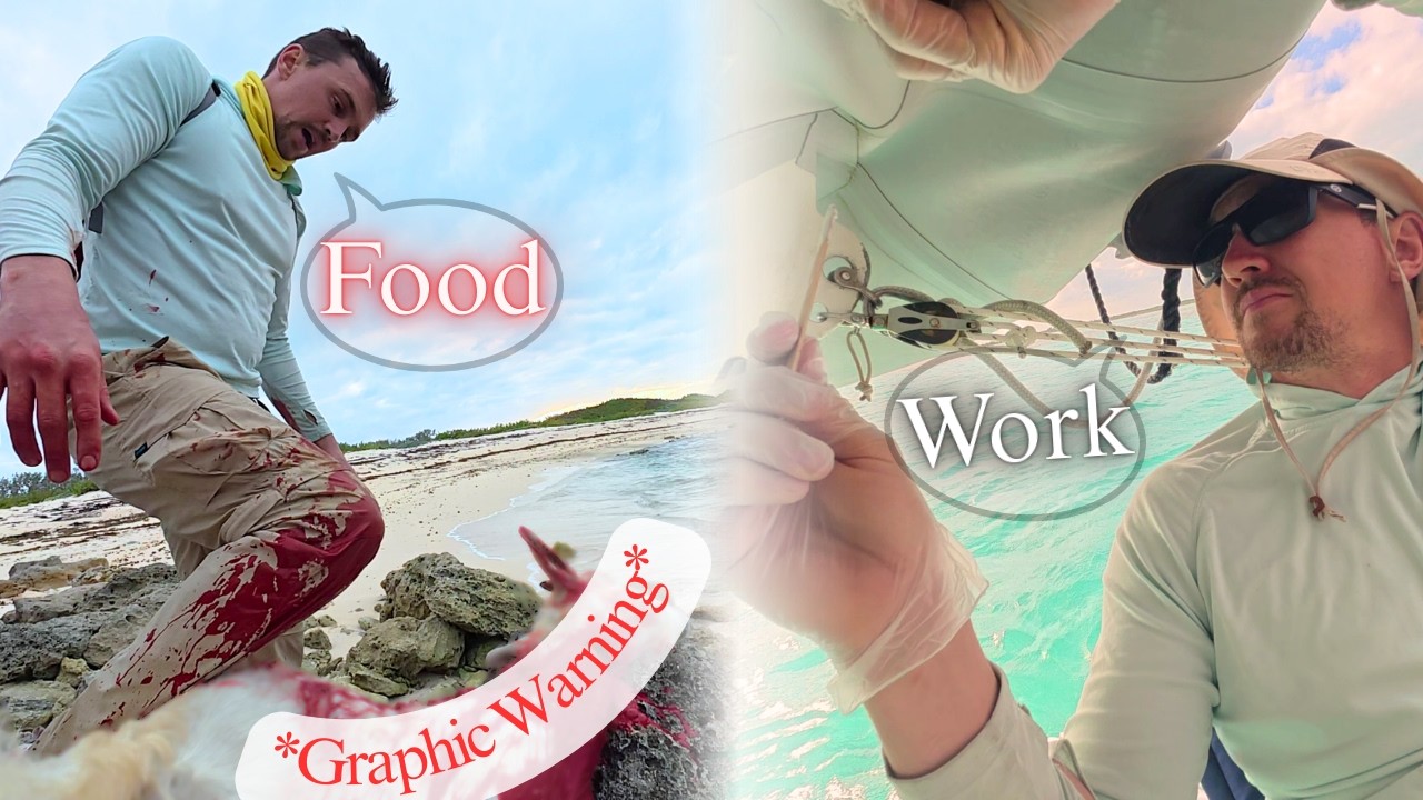 ⁣Catamaran Boat Projects & Goat Hunting [Adventure Vacation day 8]