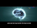 The Miracle of Human Brain