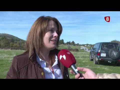 Feria de Ganado de Navafría | Edición número 54