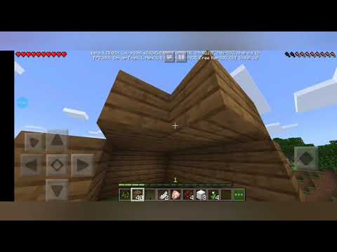 ტყეში დაკარგული #1