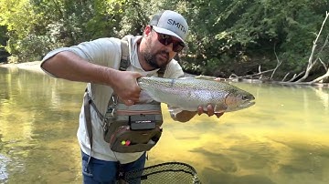 Creek Ninjas tips and tricks “how to handle a trout”