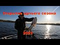 Открытие щучьего сезона 2023