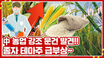 [투자직감] 中 농업 강조한 