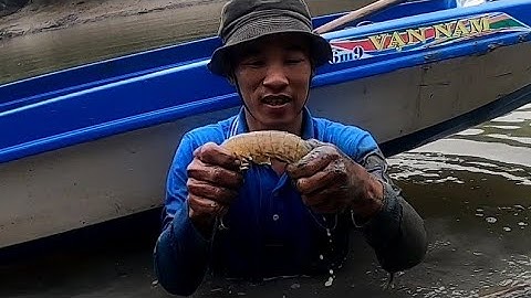 Quẹo Cần Giờ Tập Đặc Biệt 02: Bị Ong Đánh Sưng Mặt Vẫn Bắt Tôm Tích Để Mưu Sinh