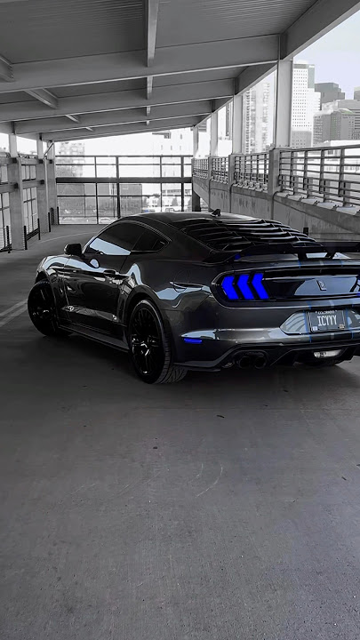 She fine, she sexy🤫 #icyyyperformance #ford #mustang