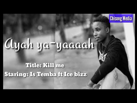 Iz Temba Ft Ice Bizz Kill Me Official Audio 