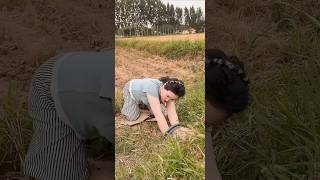 Hidden Rabbit Burrow Discovery! You Won't Believe What's Inside 😱 #shorts
