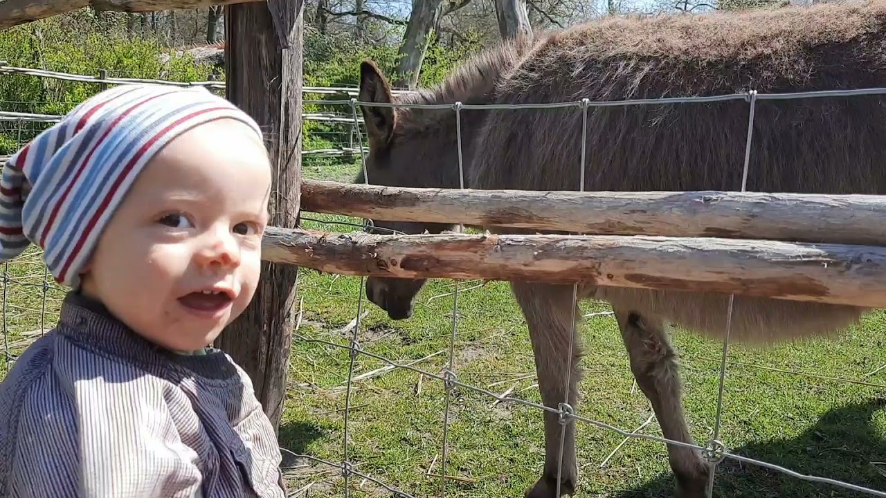 Bokrijk - музей под открытым небом в Бельгии