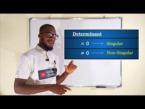 Singular Matrix and