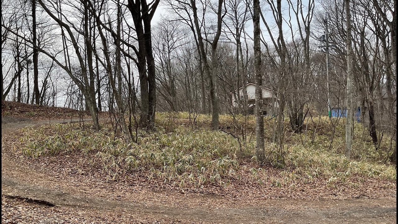 軽井沢 発地市庭３km 自由ケ丘別荘地 1,034㎡ 土地（900万円）　売買物件№32