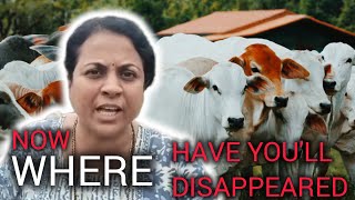 WHERE ARE THE GAU RAKSHAK DURING THIS DOUBLE ENGINE GOVERNMENT ASK MANISHA USGAONKAR