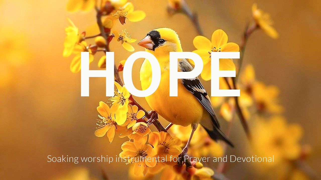HOPE | Soothing Piano Worship with Uplifting Scriptures & Peaceful Nature Scenes
