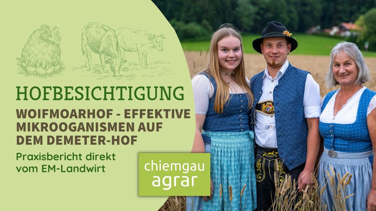 Gesunde Rinder & Hühner mit EM am Woifmoar Hof - Effektive Mikroorganismen auf dem Demeter-Hof