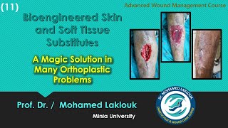 Bioengineered Skin and Soft Tissue Substitutes | Dr. Mohamed Laklouk screenshot 1