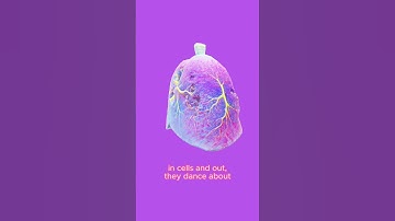 Thumbnail of Diffusion GSCE Biology Song
