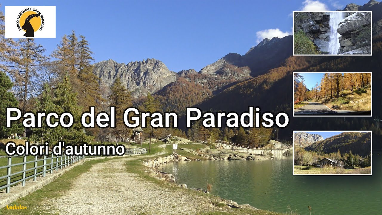 Parco Gran Paradiso - Foliage - Colori d'autunno. Alpi piemontesi - prov. Torino