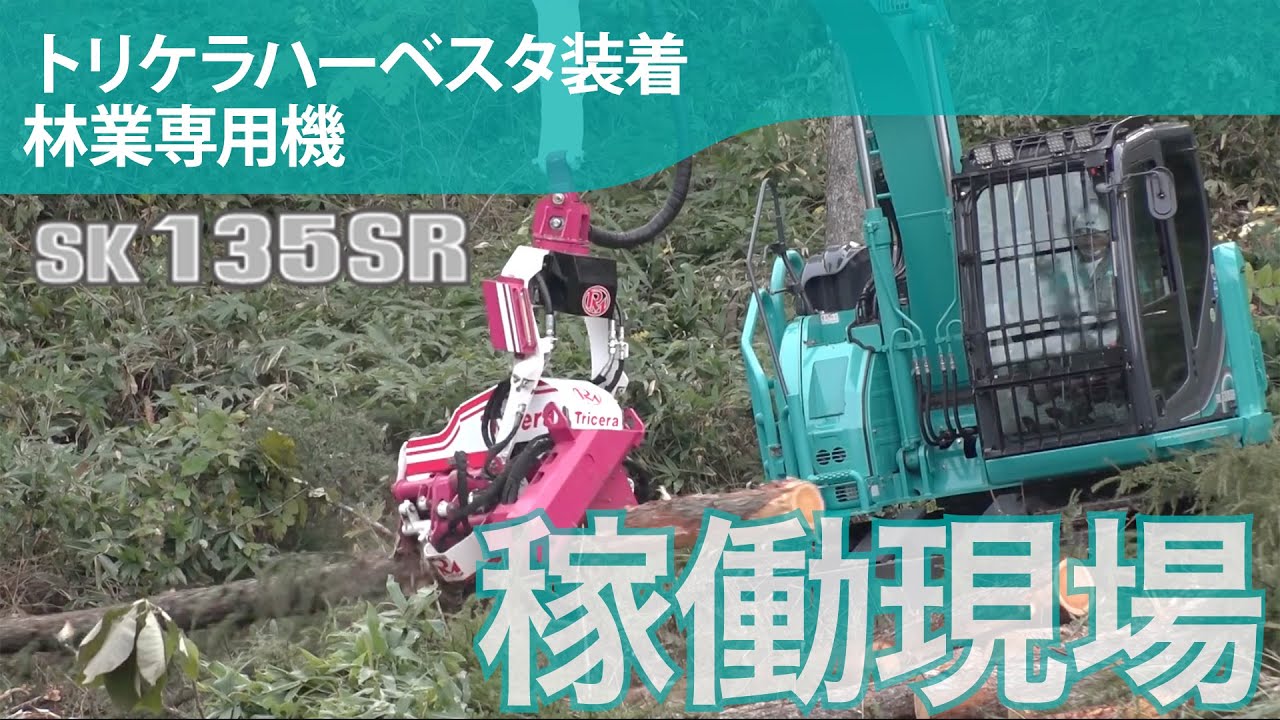 SK135SR-5F（トリケラハーベスタ装着）［稼働現場］ - YouTube
