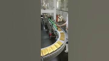 Flexible plastic chain conveyor line system for tobacco proccessing and packaging #conveyorsystem