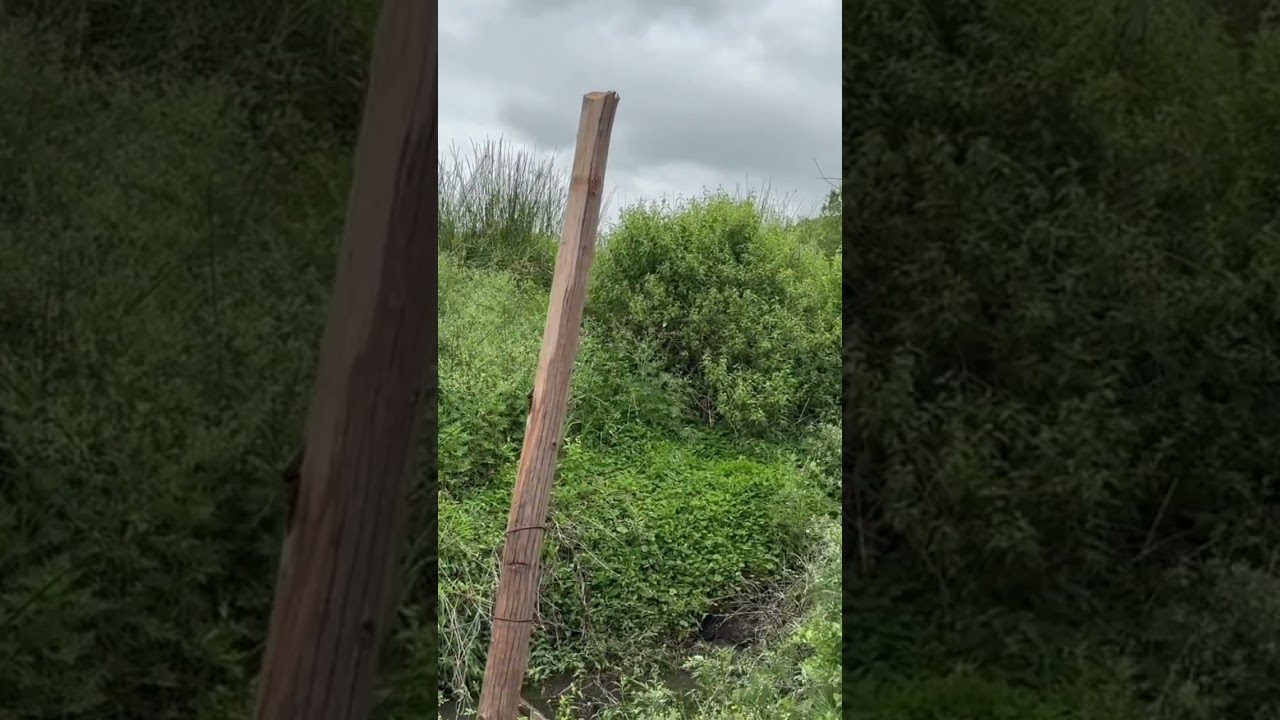 Untold Me: Installing Flat Fence Lines to Protect Cattle from Imminent Danger 