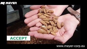 MEYER Almonds optical sorting // Sortowanie optyczne migdałów