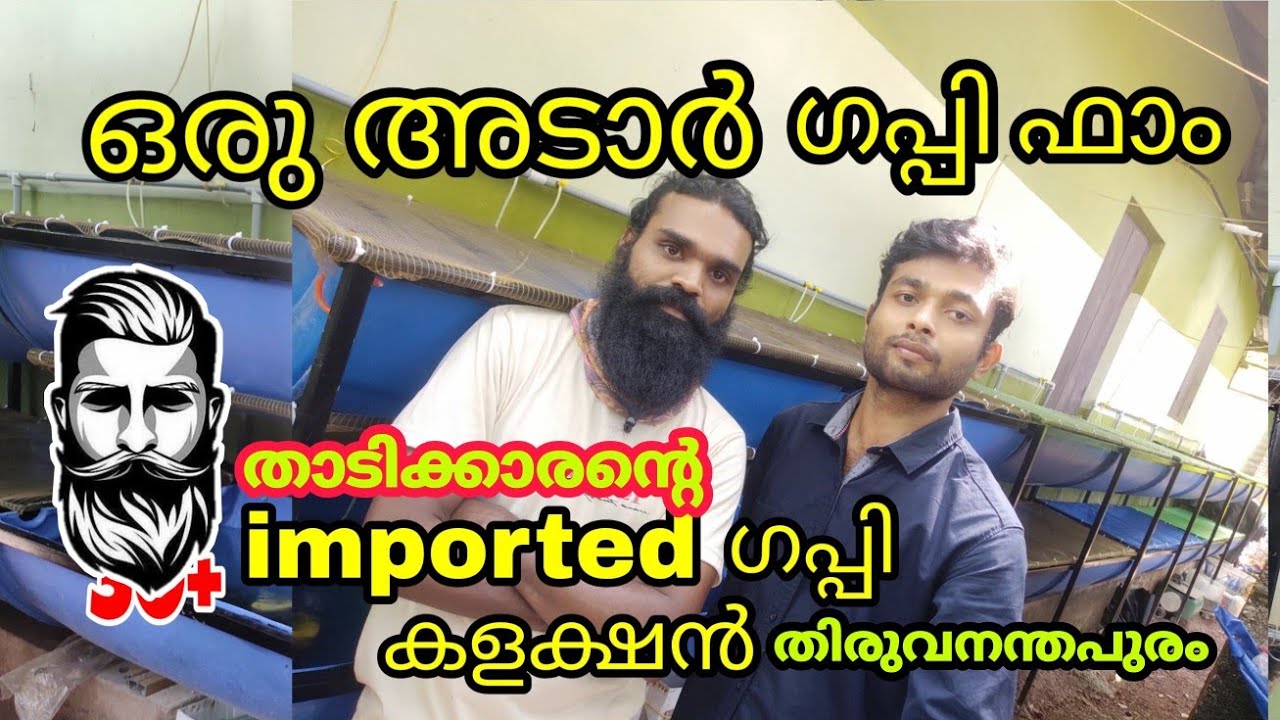 Guppy farming. താടിക്കാരന്റെ  തിരുവനന്തപുരത്തെ കിടിലം ഗപ്പി ഫാം