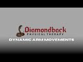 Dynamic Arm Movements