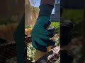 Technique for cutting radishes #shorts