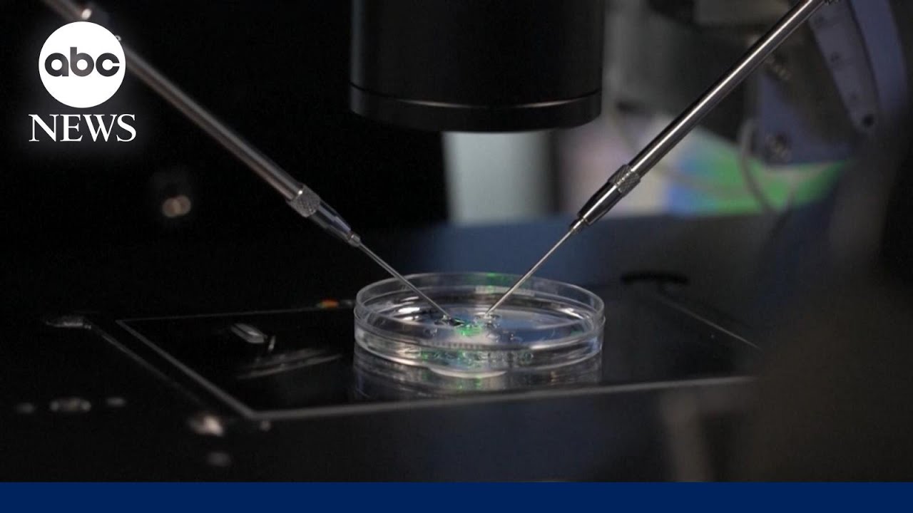 Fallout continues after Alabama frozen embryo ruling