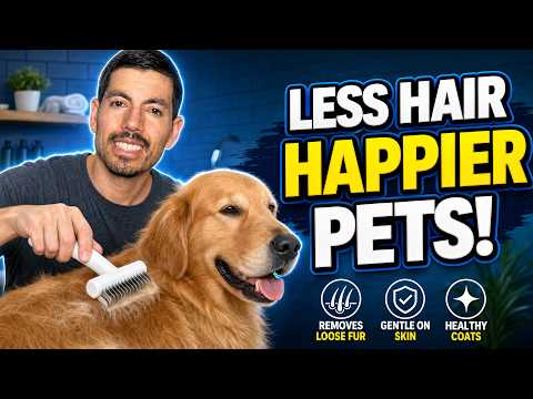 Video thumbnail: aumuca Undercoat Rake Review: A Gentle Deshedder for Long-Haired Cats and Dogs