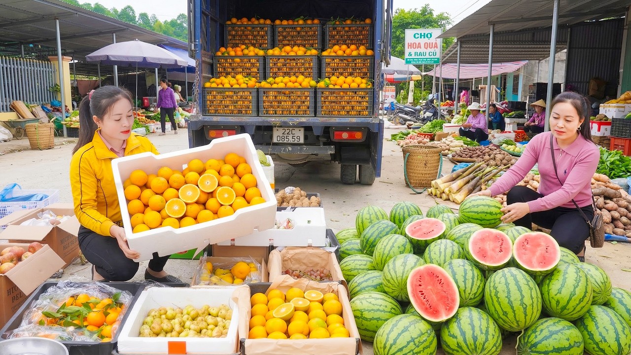 Using a Truck to Buy Watermelons & Oranges with Thanh Hien | Selling at the Market